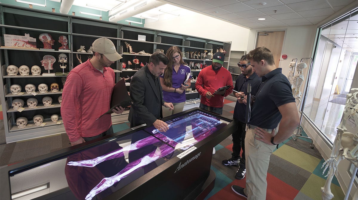 Chiropractic students and professor studying at an anatomage table