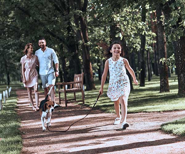 Parents in park watch daughter walk a dog.