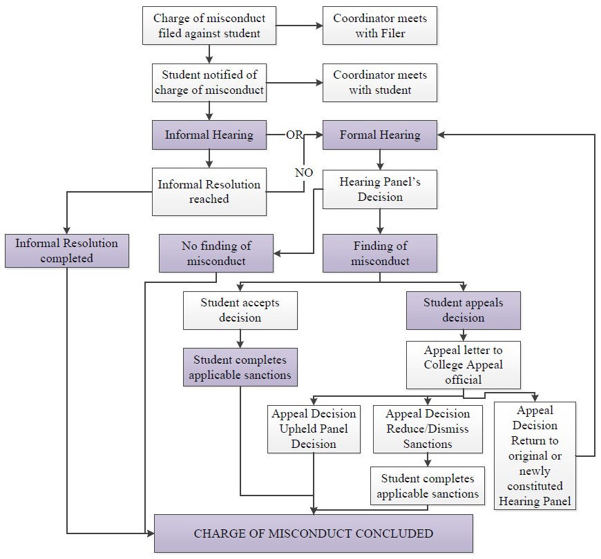 Process Flowchart including appeal.